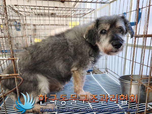 한국동물구조관리협회_411315202300535